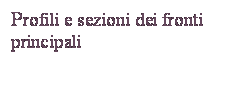 Casella di testo: Profili e sezioni dei fronti principali

